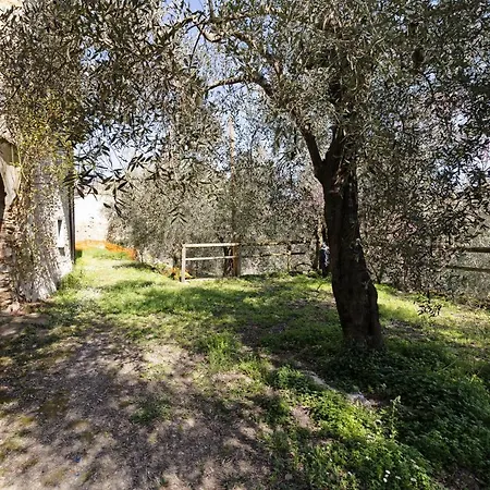 Ramma La Taggiasca Apartment *